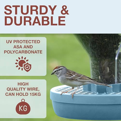 SWISSINNO Bird Feeders - No Mess Hanging Bird Feeder for Outdoors - Smart Birds Davos Spill Proof Wild Cardinal & Small Bird Feeder with Integrated Seed Catcher Tray - Dual Chamber - Light Blue - color: Light blue, style: Davos