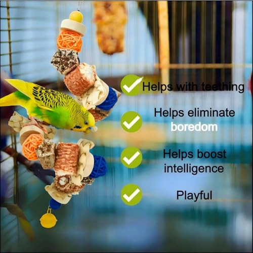 Parakeet Parrot Swing Toys,Bird Cage Hanging Chewing Toys | Natural, Parrot Foraging Toys, For Budgerigar Conure Cockatiel LoveBirds Finches