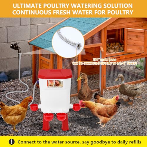 Lilyang Automatic Chicken Waterer, Auto Water Refills | Float-Controlled Poultry Watering System, Connects Directly to 3/4" Faucet & Hose (No Fitting Required), Standing/Hanging Use - color: Red