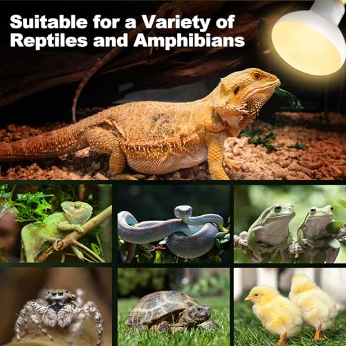 2Pack Reptile Heat Lamp, 100W Reptile Heat Emitter Infrared Basking Spot Light, UVA Daylight Heat Lamp Bulbs for Chickens Coop Reptiles Pets Brooder Use - style: 100W Reptile Heat Lamp