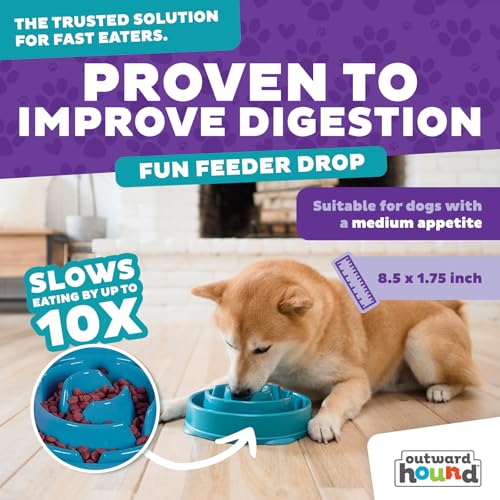 Outward Hound Fun Feeder Slo Bowl – Medium 2‑Cup Capacity,Slow Feeding,Small to Medium Dogs & Cats,Non-Slip,Turquoise,Drop Pattern,(Pack of 12) - color: Turquoise, size: Medium (Pack of 12)