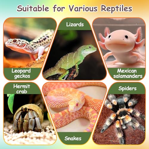 2PCS Reptile Thermometer and Hygrometer Gauge Adhesive Digital Terrarium Hygrometer Reptile Tank Accessories for Bearded Dragon Jumping Spider Leopard Gecko Lizard Ball Python Hermit Crab