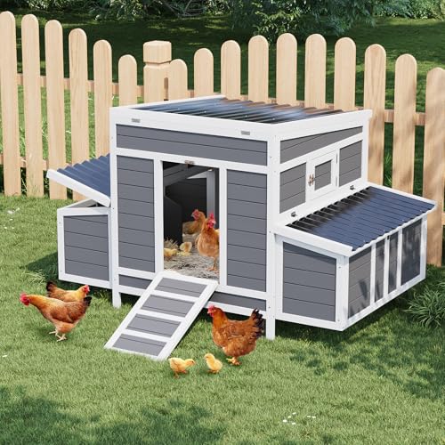 55" Wooden Chicken Coop, Chicken Coop for 4-6 Chickens, with 2 Sides Large Nesting Boxes, Outdoor Poultry Cage Rabbit Cage with Ramps & Tray,(54.41" x 34.49" x 34.05")