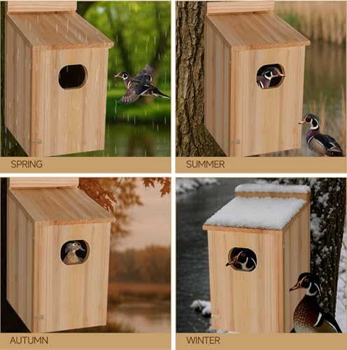 Duck House - Wood Duck Houses for Outside, Duck Nesting Box Outdoor Shelter for Pond, Wetland Ducks and Hooded Mergansers 17x10x10 Inches - color: Rectangular Duck House, size: 17"H x 10"W x 10"D