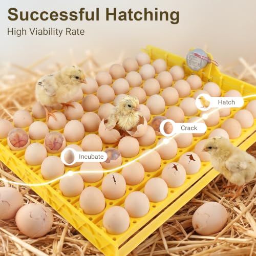 Automatic Egg Turner Tray, 70 Eggs Fully Automatic Incubator Tray with Motor, 110V Plastic Egg Turning Device Universal for Hatching Chickens, Ducks, Geese, Pigeons, Birds, Quail