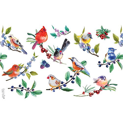 Tervis Watercolor Songbirds Made in USA Double Walled Insulated Tumbler Cup Keeps Drinks Cold & Hot, 16oz, Clear | Made in USA, Double-wall Insulated, Shatterproof, BPA-Free, Dishwasher Safe, Fits Most Cupholders, Gifts under $20 - style: 16oz