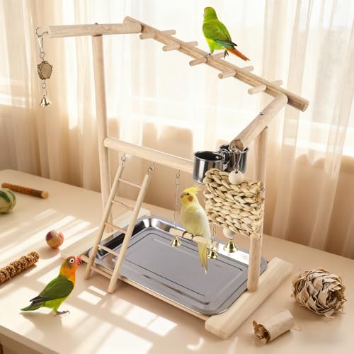 Small Bird Playground Stand, Natural Wood Parrot Stand Playground with Removable Tray, Feeder Cups, Ladder, Swing & Chew Toys for Cockatiel, Conure, Parakeet