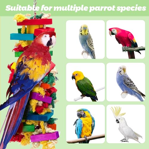 Parrot Toys for Large Birds, Natural Wood Chew Toy | Strong construction withstands daily chewing by macaws, African greys and similar large birds.