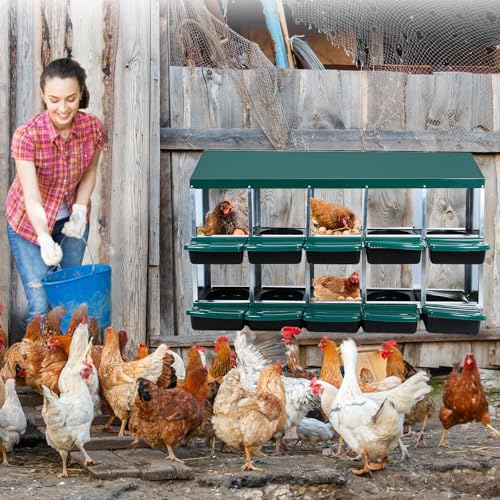 GarveeHome 2-Tier Chicken Nesting Box, 10 Compartment Metal Chicken Laying Boxes with Waterproof Roof ＆ Removable Trays for Hens, Poultry，Easy Egg Collection - color: Green, size: 54.9"L x 17.7"W x 8.1"H