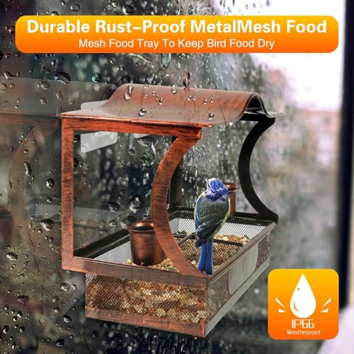Window Bird Feeder, Metal Window Bird Feeder with 4 Strong Suction Cups, Wild Bird Feeders for Outdoors Hanging, Removable Tray with 2 Water Cups, Easy Clean and Fill