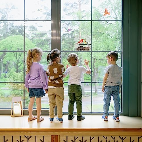 Acrylic Window Bird Feeder with 4 Strong Suction Cups, Clear and Transparent Bird House, Removable Food Tray with Drain Holes, Easy Install and Clean for Backyard and Viewing