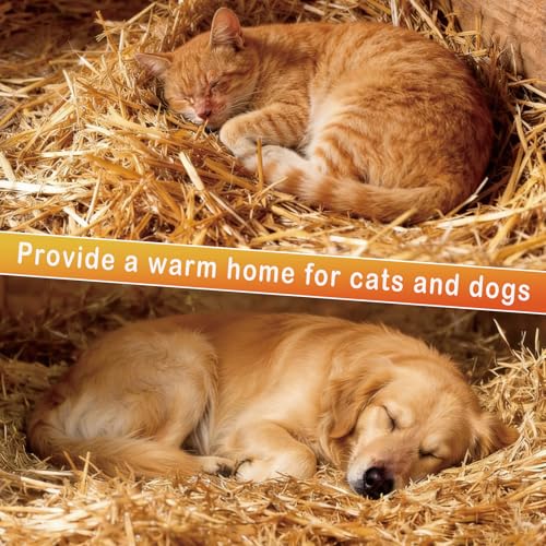 Natural Wheat Straw - Dry Clean Soft Bale for Stray Cats & Dogs Shelter, Chicken Coop Bedding, Garden Mulch & Weed Cover (1LB) - color: 1LB