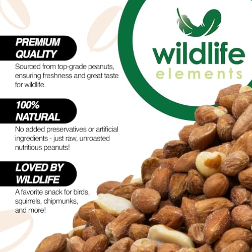 Wildlife Elements Peanut Party Unprocessed, Raw Shelled Peanuts Wildlife Animal Food, 25lb - Rich in Protein, Healthy Fats, and Essential Nutrients for Birds, Squirrels & Waterfowl - size: 25lb, style: Shelled