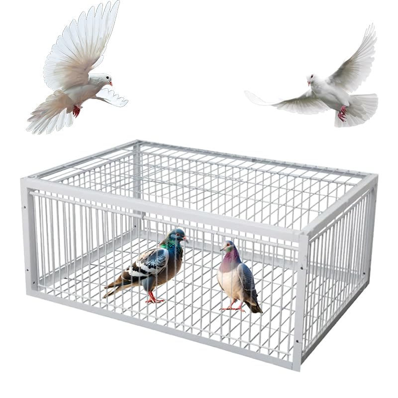 Pigeon Trap Cage with Escape-Proof Design Chicken Trap Bird Cage with One Way Entrance for Sparrows Quails Bird Chick and Duckling (15.75”L x 11.8” W x 10.24” H) - size: 15.75”L x 11.8” W x 10.24” H