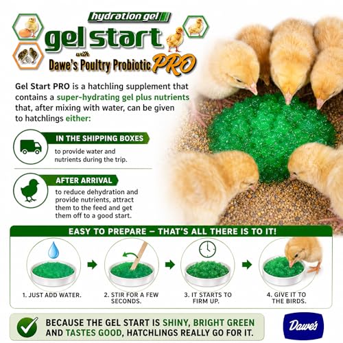Grogel Plus-B Hatchling Nutritional Gel – 100 Dose Pack (5 Packs) – Hydration & Nutrient Support for Baby Chicks, Poults, Ducklings & Quail Nutrition