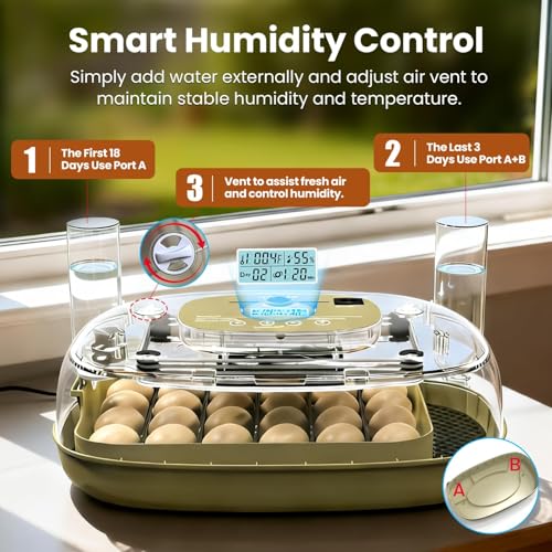 Incubators for Hatching Eggs,24 Eggs Capacity with Automatic Turning, Accurate Temp & Humidity Control, Egg Candler, Air Vent, 360° Viewing for Chicken, Duck, Quail & Goose Eggs
