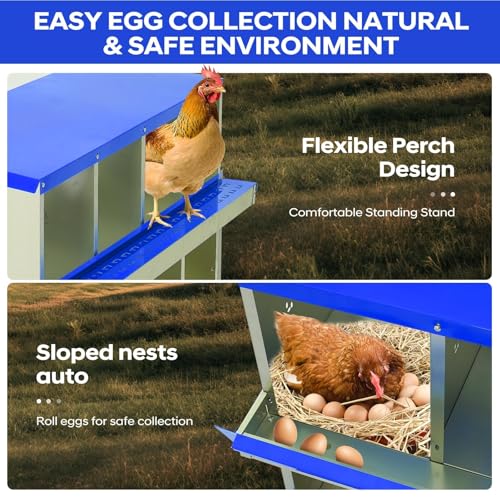 8 Compartment Chicken Nesting Box, Heavy Duty Metal Laying Box with Perch, - color: Blue, size: 8 Compartments with legs