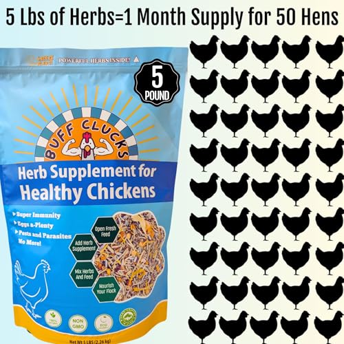 Buff Clucks Herbs Supplement for Chicken Food Natural Poultry Feed, 5 lb | Healthy Chick Snacks for Daily Wellness Feather Quality Egg Production Plant Based Chicken Herbs for Feed Treats for Chickens - size: 5 Pound (Pack of 1)