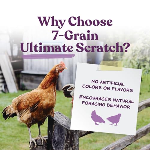 Manna Pro 7-Grain Ultimate Chicken Scratch Treat, Non-GMO, 10 lb Bag | 7-Grain Scratch Treat Blend, Non-GMO Ingredients, Natural Multigrain Recipe, For Chickens, Hens & Backyard Flocks