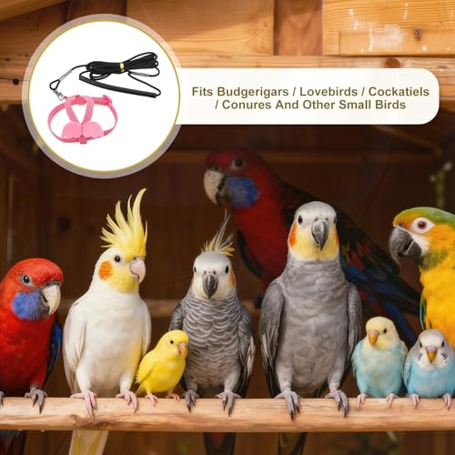 Bird Harness Leash, Adjustable Pet Parrot Bird Harness and Leash Lightweight Anti-Bite Flight Training Rope with Cute Wing, (Pink, XS), Intended for Parrots/Pigeons/Budgies - color: Pink, size: Extra Small