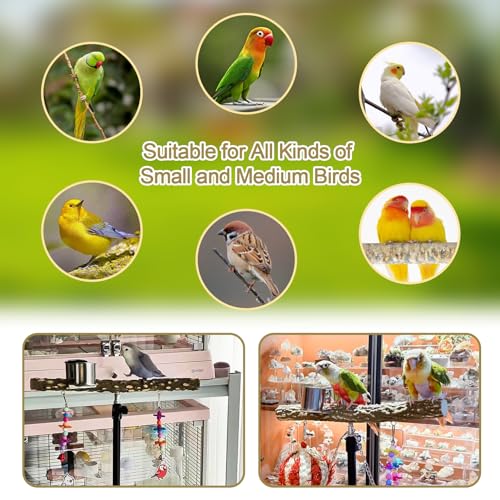 16-63 Inch Height Adjustable Bird Perch Pepper Wood Parrot Training Perch Stand with Feeding Cups and Swing Toy Parakeet Perches Indoor and Outdoor Parrot Stands for Small to Medium Bird - size: Floor Bird Perch with Feeding Cup