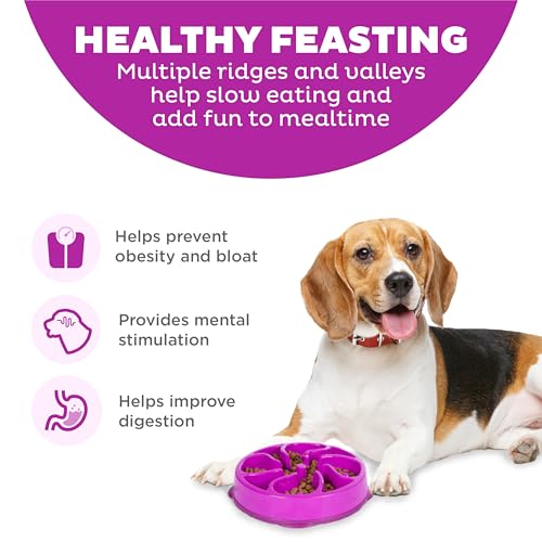 Outward Hound Fun Feeder Slo Bowl – Medium 2‑Cup Capacity, Slow Feeding, Small to Medium Dogs & Cats, Non-Slip, Purple, Flower Pattern - color: Purple, size: Medium