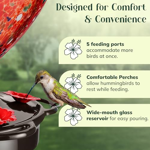 Hand Blown Glass Hummingbird Feeder for Outdoors All Season Use - 28 Fl. Oz. Leak Proof Hummingbird Feeder with Rust Proof Base - Includes Ant Moat, Ant & Bee Proof (Red) - color: Red