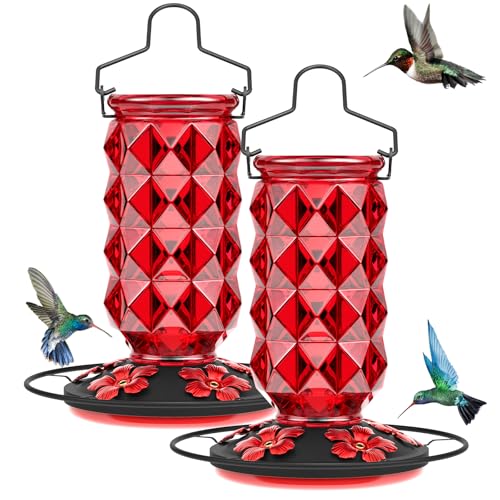 2 Pack Glass Hummingbird Feeders for Outdoors, 25 Ounces Wild Bird Nectar Feeder with Perch & 5 Flower Feeding Ports Leak Proof Hanging for Garden Backyard Decor, Gifts for Women Mom, Red - color: 2 Pack Diamond Sparkling Red