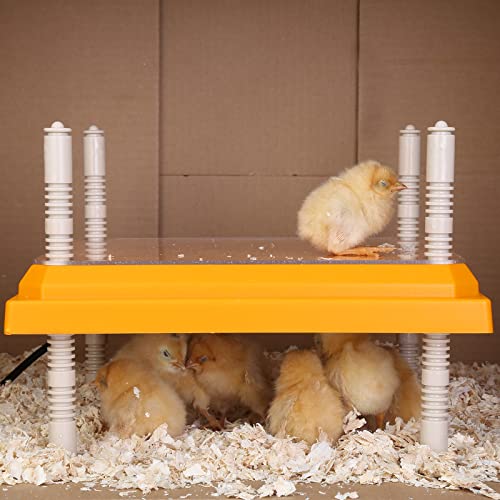 Brooder Heater for Chicks Height Adjustable: Heating Plate with Easy- Cleaning Plate Poultry Coop Warmer 10" x 10" for 15 Chicks - color: Orange-10x10