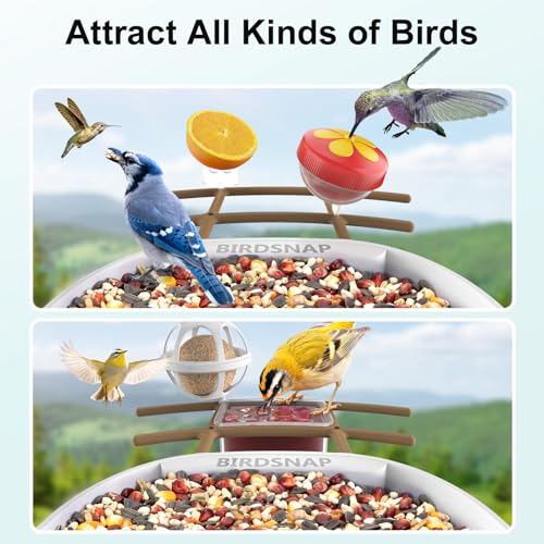 birdsnap® PAV Bird Feeder with Camera Solar Powered 2K Live Video 64GB Card | AI Bird Species Identification, Instant Arrival Alerts, IP65 Waterproof, Wild Bird Feeders for Outdoors, Gift for Bird Lovers - color: Light Brown