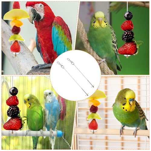 2PCS Bird Cage Food Holder with Hook, Stainless Steel Bird Feeder for Cage, Parrot Fruit Skewers, Bird Foraging Toys for Macaw Parakeet Parrot Budgie (2 Sizes)