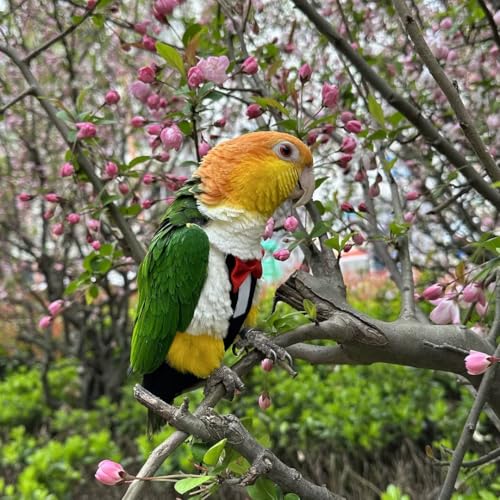 Bird Diapers Bird Harness Tuxedo Flight Suits with 80in Flying Leash Parrot Nappy with Waterproof Inner Layer Urine Wet Suite for Cockatiel Conure Parakeet Macaw Budgie-Black,L - size: L