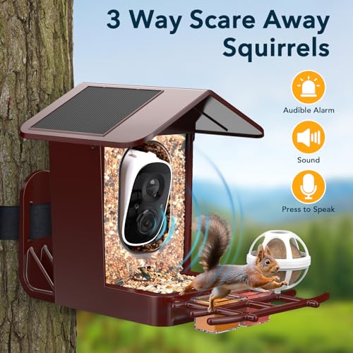 PeckCam® Bird Feeder with Camera Solar Powered 2K Live Video Auto Capture | AI Bird Species Identification, Instant App Alert, IP65 Waterproof, Easy Setup, Backyard Bird-Watching, Gift for Bird Lovers - color: Red