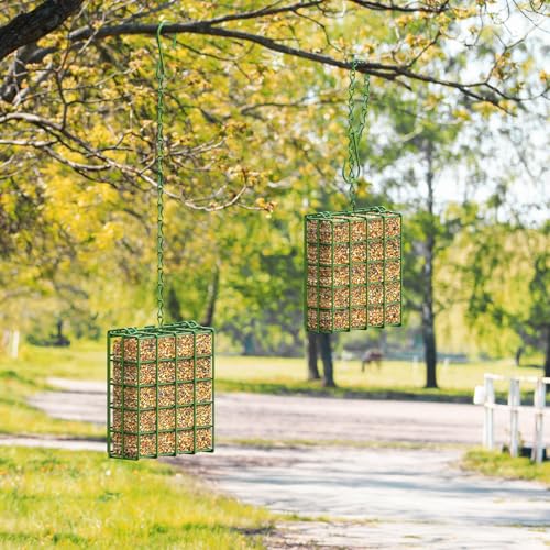 Bird Feeder for Outdoors, Suet Feeder for Outside Hanging Suet Basket Cage | 2 Pack Hanging Bird Feeder Adjustable Chain Hanging for Garden Yard Outside - Suet Cake Feeders Squirrel Proof birdfeeder - style: 2 Packs
