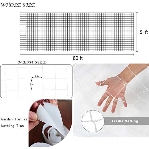 6in Mesh Trellis Netting, 5x60ft, 1 Pack | Polyester mesh netting for vine crops & plants; Suitable for garden garden applications - size: 6" Mesh (5'X60')