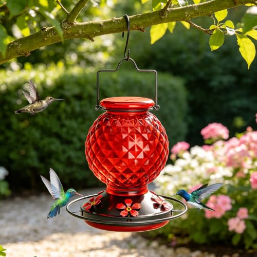 Glass Hummingbird feeders for Outdoors, 5 Feeding Ports Hummingbird Feeder, Wide Mouth for Easy Filling andCleaning, Hanging for Garden Backyard Decor, Includes Ant Moat (Red 1 Pack) - size: PACK 1