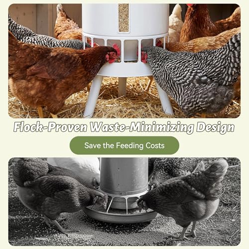 KOL 50LB Chicken Feeder & 3 Gallon Chicken Waterer Set, All-Metal 16 Port Feeder + 8 Cup Auto Waterer, No Waste, Weatherproof Poultry Feeding System Chicken Coop Accessories