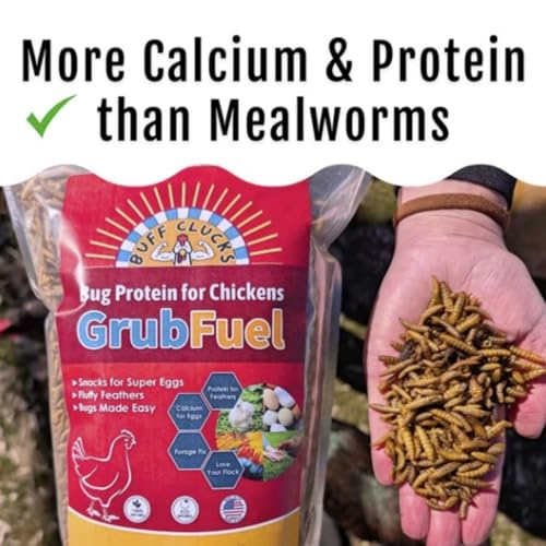 Buff Clucks Grub Fuel Black Soldier Fly Larvae for Chickens, Chick Feed 5lb | Chicken Snack for Poultry, Chicken Treats for Laying Hens, Dried BSFL Rich in Protein, Calcium, Fiber, Essential Fatty Acids - size: 5 Pound (Pack of 1)