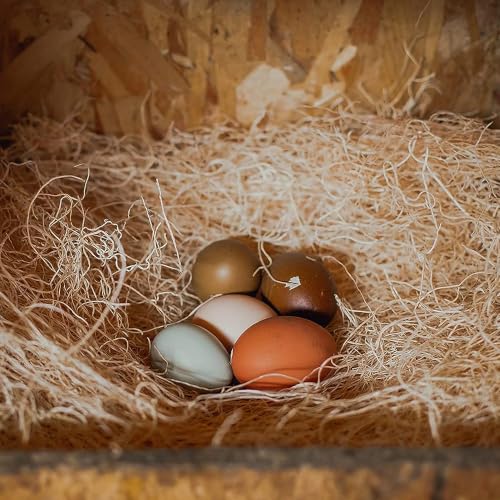 Eaton Pet and Pasture Nesting Pads for Laying Hens, 13" x 13", 10 Pack