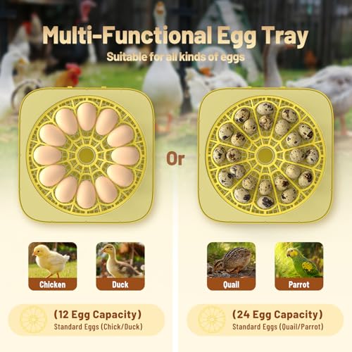 Incubator for Hatching Eggs, 12 Eggs Incubator with Automatic Egg Turning, Temperature & Humidity Control, LED Egg Candler, Incubation Days Display, for Chicken, Duck, Quail, Parrot Bird Eggs
