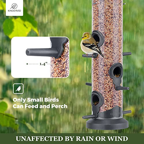 Kingsyard 2 Pack Tube Feeders with 6 Feeding Ports for Outdoors Hanging, Premium Hard Plastic Weatherproof & Steel Hanger, Attracting for Wild Birds (Black) - color: Black