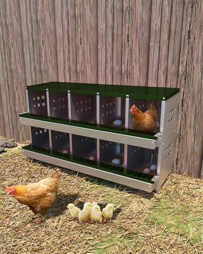 Chicken Nesting Box for Laying Eggs, 10-Compartment Galvanized Steel Nesting Boxes for Hens, Front Access Egg Tray, Easy Wall Mount Design, Includes 10 Training Eggs - color: Green