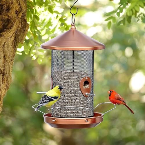 Large Bird Feeders for Outside: 3-5LB Capacity Seed Feeding | 12.6inch Easy Hanging for Tree Garden Yard Outside Decor Cardinal Finch - Gardening Gifts for Women Men