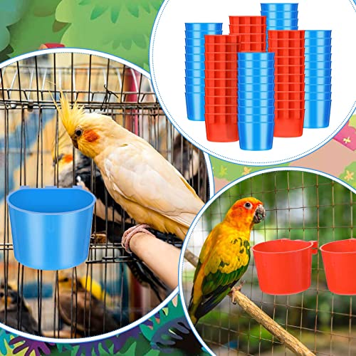 100 Pcs Cage Cups Chicken Feeder Cup 8 oz Hanging Bird Food Water Bowl Coop Bunny Cage Feeding Dish Game Fowl Supply for Poultry Pet Parrot Parakeet Rabbit Parakeet Pigeon(Red, Blue) - color: Red, Blue