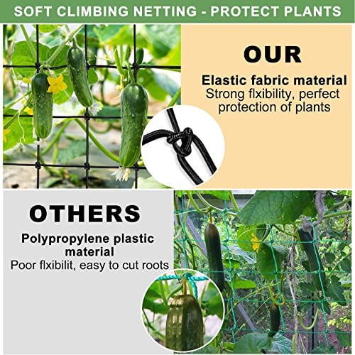 BSTPCOO 2 Pack 4x4 Trellis Netting for 4x4/8x4 Grow Tent, Elastic Scrog Net | Heavy Duty Plant Net with Hooks, Flexible Trellis Net Support for Hydroponics, Outdoor Climbing Plant - size: 3.5" Mesh-4 X 4 FT-2P