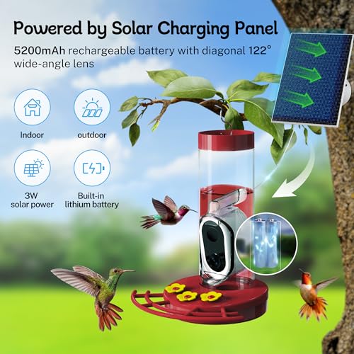 Hummingbird Feeder with Camera Solar Powered, AI Identify Cloud Storage Instant Notification, CCPA Data Protection, Outdoor Hanging, Idea Gift for Family Friends (20 Ounces)