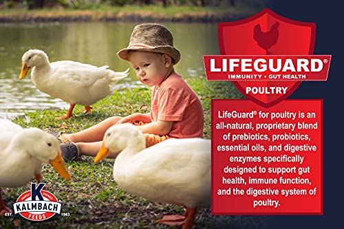 Kalmbach Feeds 18% All Natural Duck and Goose Feed Mini Pellet, 10 lb Bag
