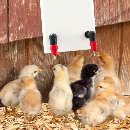 Chick Nipple Waterer Matel Chicken Water Nipples Rabbit Water Nipples (6pcs, Plastic) - color: 6pcs, size: Plastic