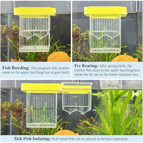 Floating Aquarium Breeding Box with Hatchery Box and Isolation Box | Acrylic Breeder Box with Divider for Guppy, Betta, Clownfish, Coral, Baby & Injured Fish
