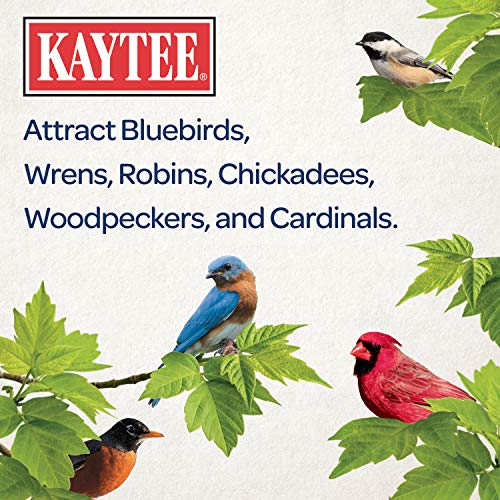 Kaytee Wild Bird Food Mealworms For Bluebirds, Wrens, Robins, Chickadees, Woodpeckers, Cardinals & Chickens, 2 Pound - size: 2 Pound (Pack of 1)
